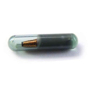 Virgin Megamos 48 Transponder Chip